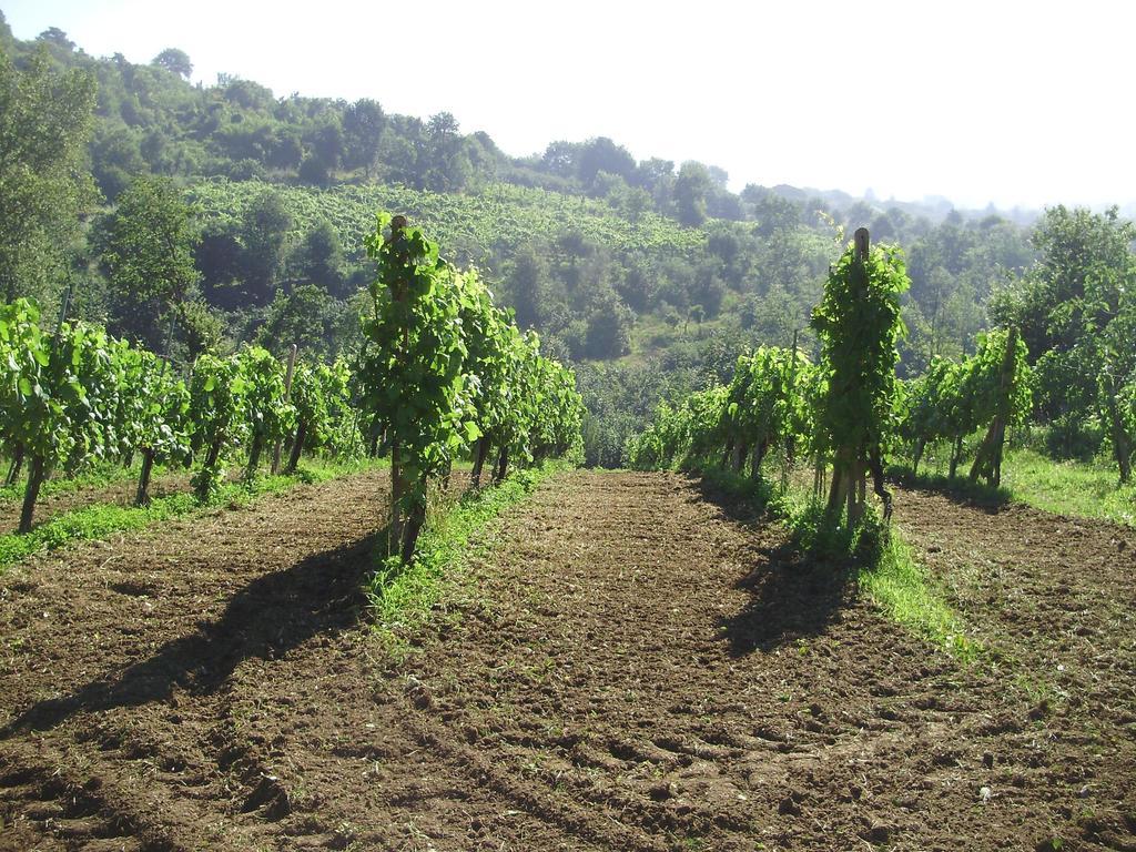 Tenuta Montelaura Forino Ngoại thất bức ảnh