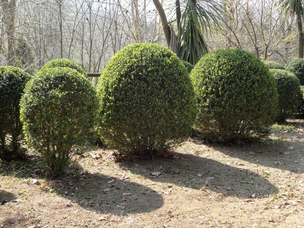 Tenuta Montelaura Forino Ngoại thất bức ảnh